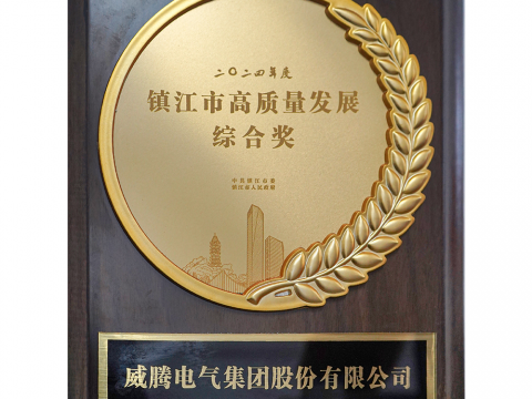 喜讯│suncitygroup太阳集团荣获2024年度宜昌市高质量发展综合奖