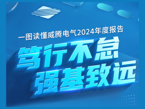 一图读懂suncitygroup太阳集团电气2024年度汇报